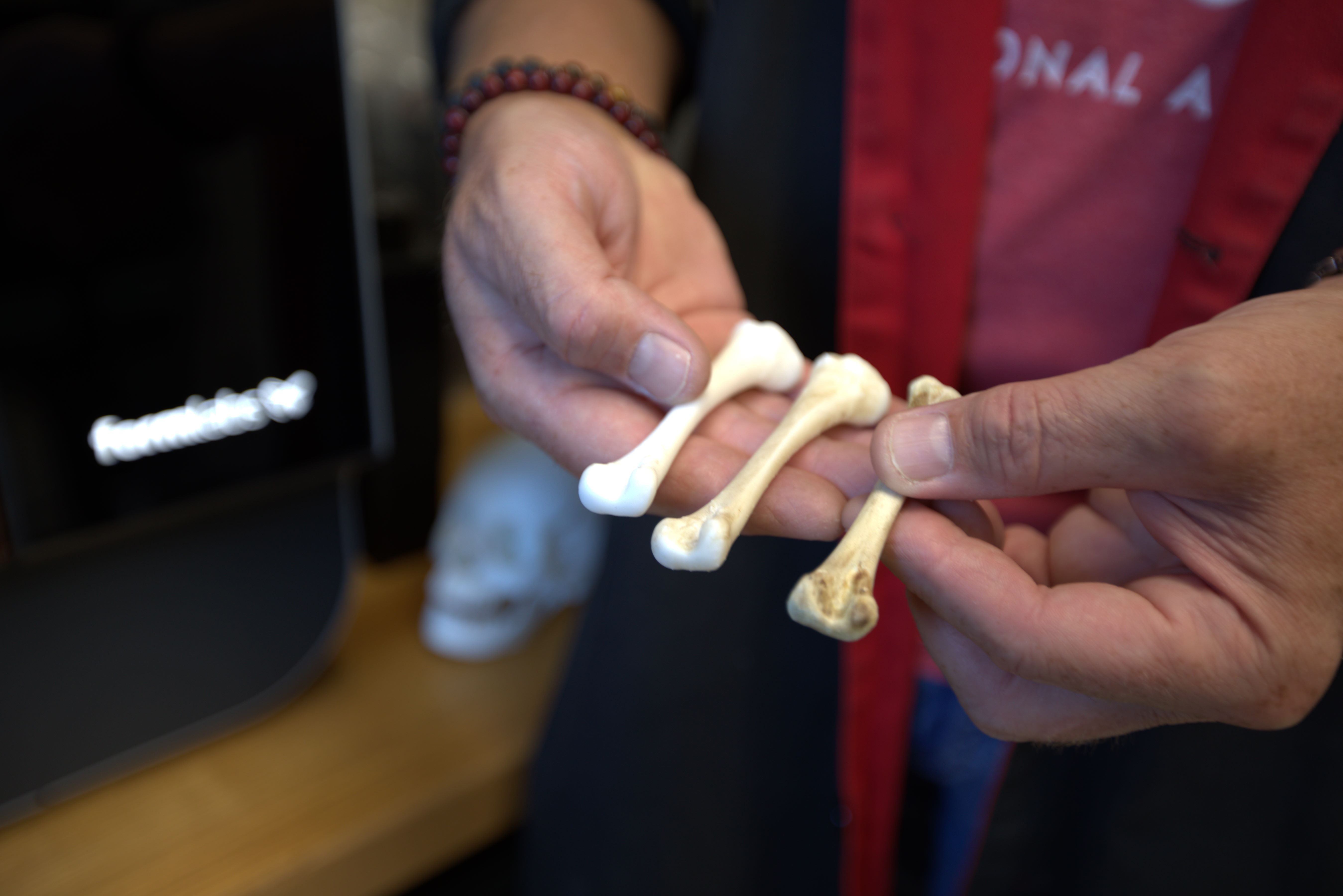 3d printer example