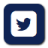 Twitter logo. Dark blue background, white-ish color on it