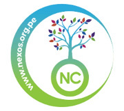 NC logo