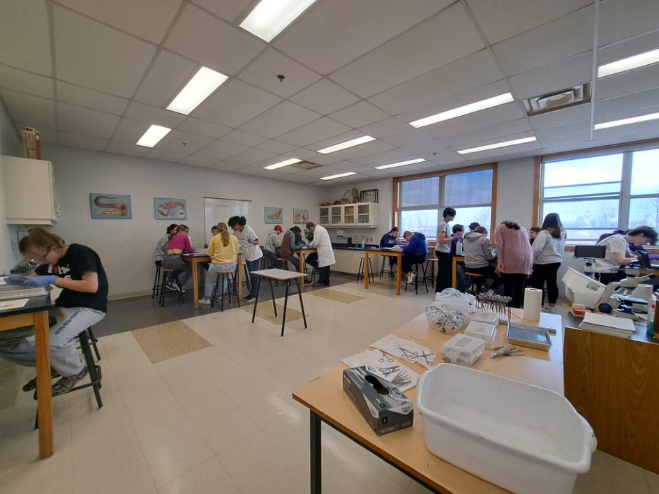 Dissections with Grade 11s at the North Nova Education Centre, April 2023 Students Practicing Dissections at the Nova Scotia Education Centre