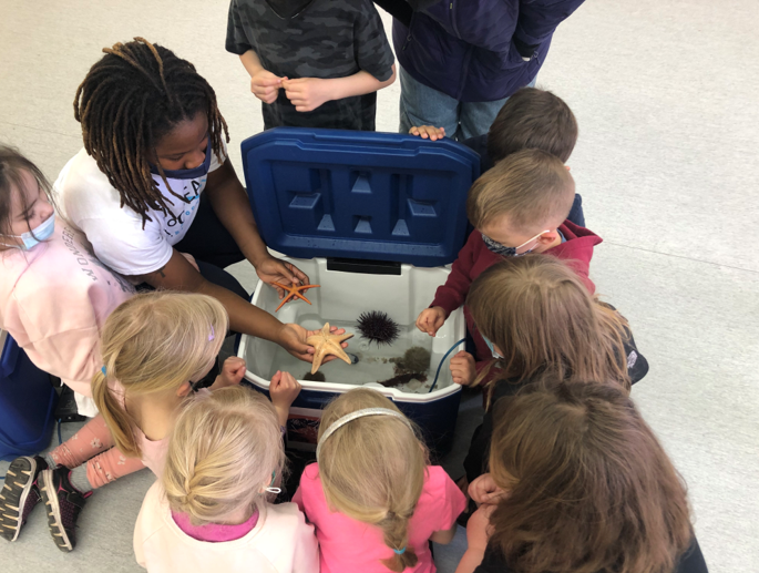 Students Grabbing Starfishes and Sea Urchins