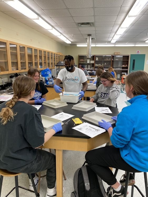 Students at the Lab Measuring Animals