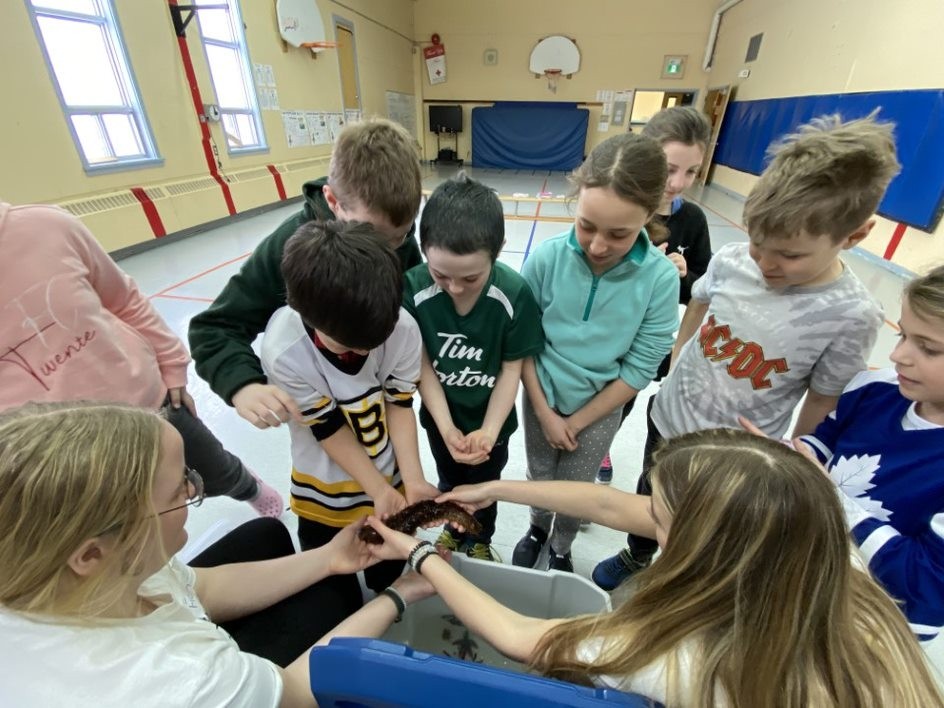 Picture of Kids Holding Sea Cucumbers