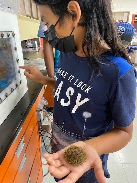 Student Grabbing a Sea Urchin