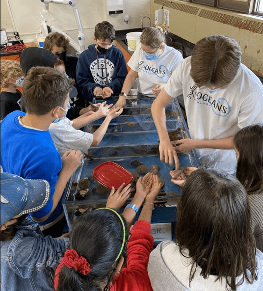 Picture of School Students Inspecting Marine Animals and Studying their Body Symmetry