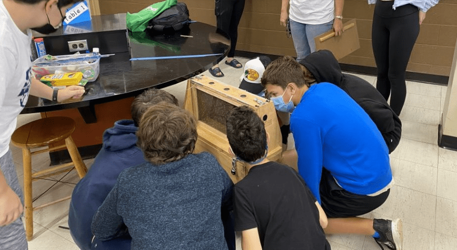 Students Studying Bee in Apiary